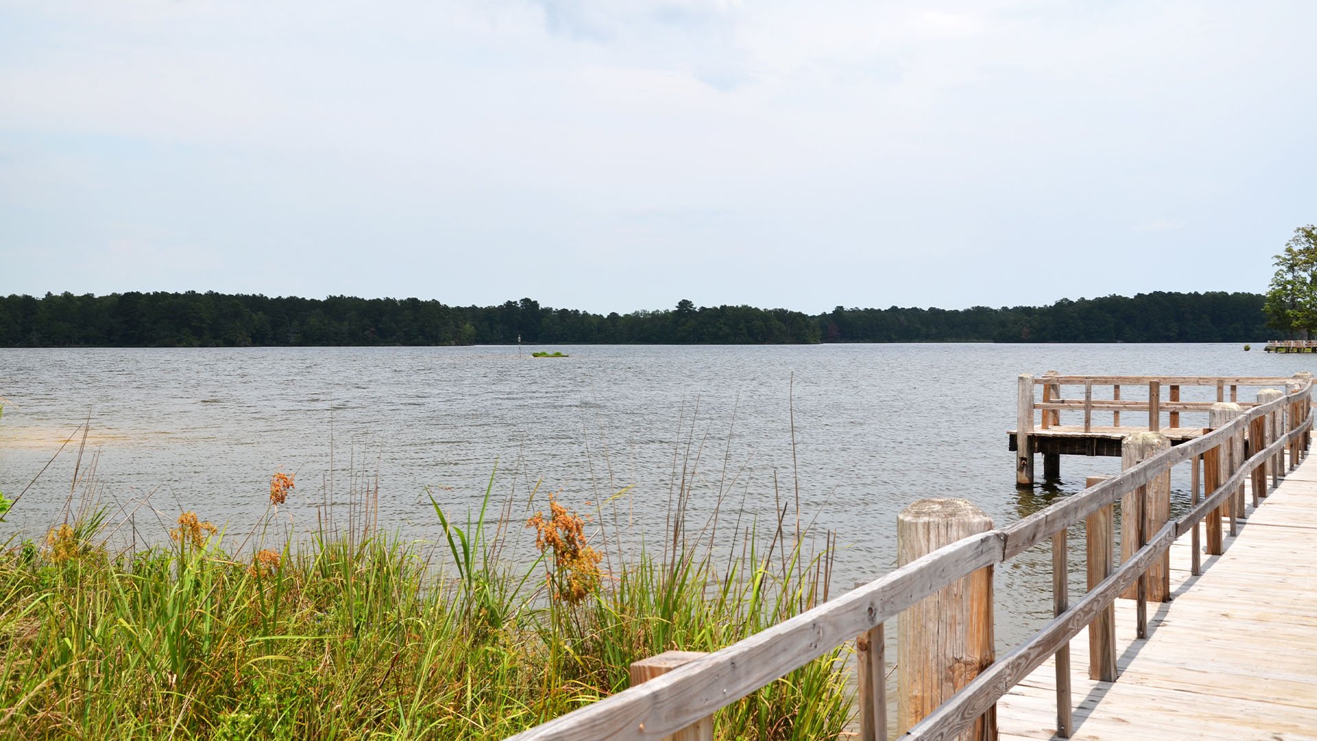 Lake-Lincoln